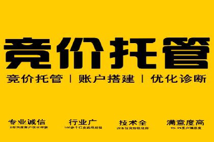 行业领先企业的SEM竞价推广策略揭秘